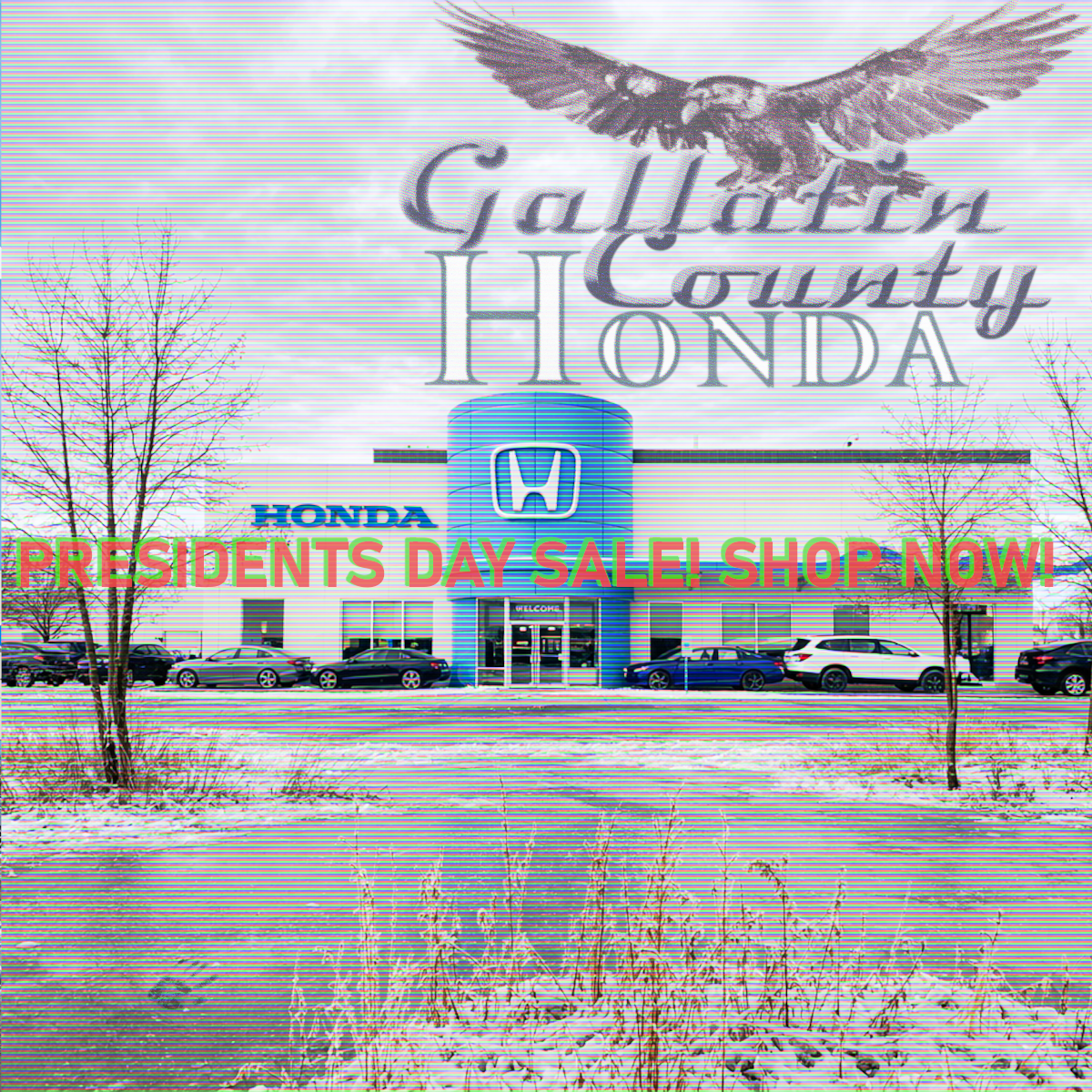 Gallatin County Honda, past the painted effigy. Presidents Day Sale!